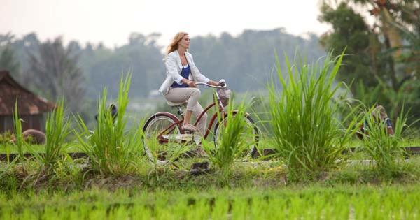 Dina Cottage Ubud Esterno foto